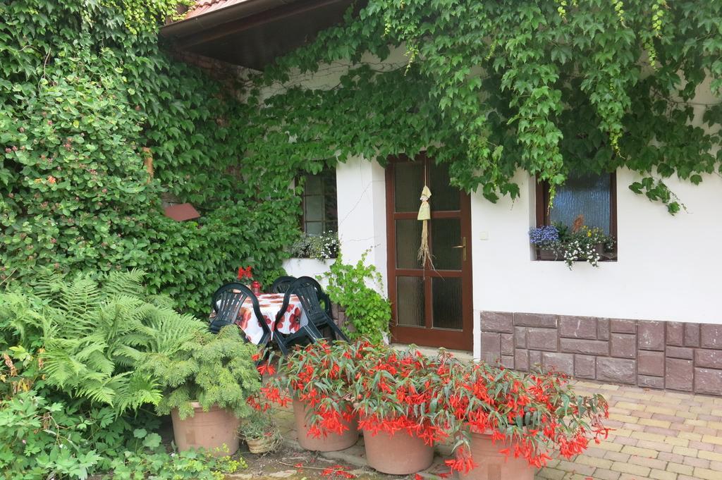 Apartamento La Ferme De Sissi Smrzice Habitación foto