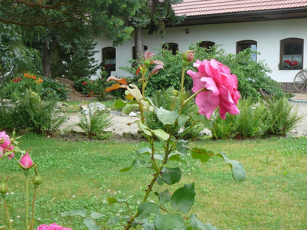 Apartamento La Ferme De Sissi Smrzice Exterior foto